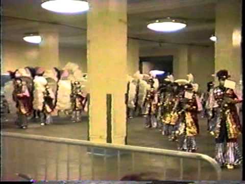 1989 Show of Shows Pit Duffy String Band Of Thee I Swing