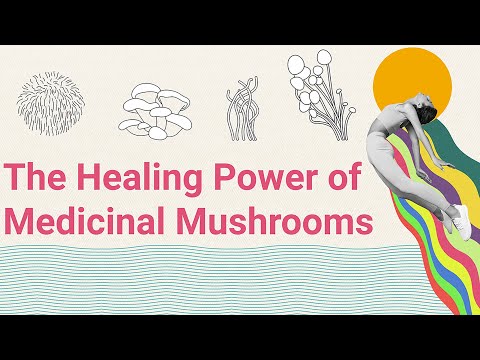 BIO Bloomz - Unlocking the Power of Medicinal Mushrooms