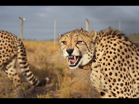 𝗘𝘅𝗰𝗶𝘁𝗶𝗻𝗴 𝗨𝗽𝗱𝗮𝘁𝗲 𝗳𝗿𝗼𝗺 𝗠𝗼𝗻𝘁 𝗘𝗰𝗼 𝗚𝗮𝗺𝗲 𝗥𝗲𝘀𝗲𝗿𝘃𝗲!