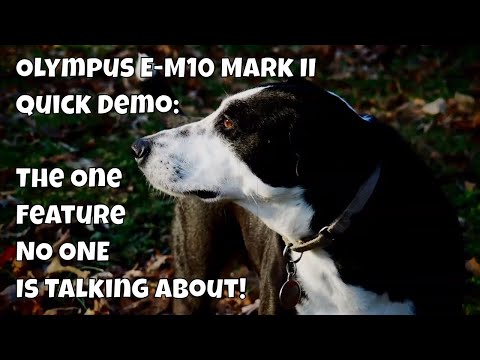 Quick Demo: The Olympus Feature NO ONE Is Talking About ep.109