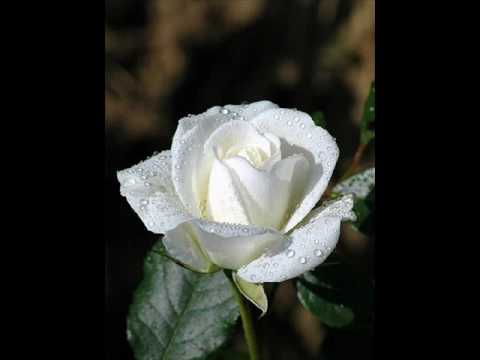 by mariam romelashvili-you are my love.wmv