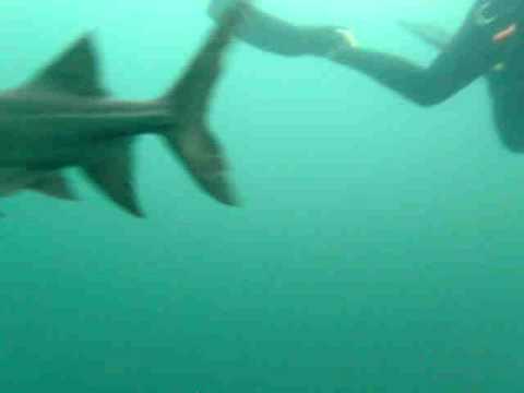 Paddlefish & Cora at Loch Low Minn Quarry, Athens, TN