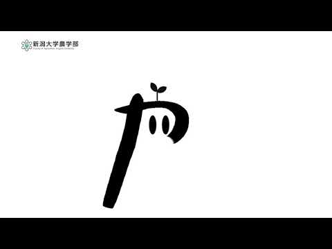 【農学部 流域環境学プログラム】プログラムの説明