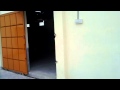 GLOBAL AGRO FACTORY