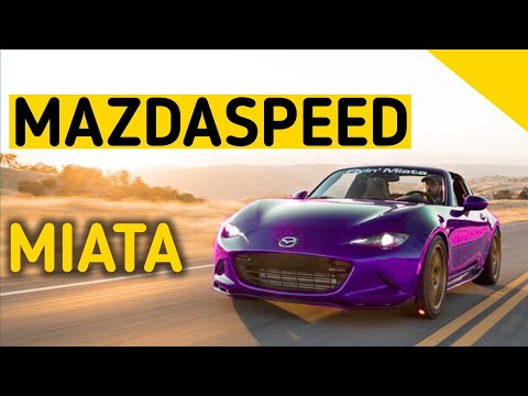 Would this be the Best Sportscar Ever? A New MAZDASPEED MIATA!?
