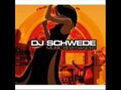 DJ Schwede- The Party
