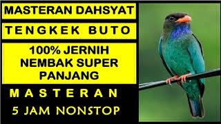 Download lagu Suara Burung TENGKEK BUTO Gacor Durasi Panjang | Masteran Burung Sang Juara ...... mp3 Download lagu Suara Burung TENGKEK BUTO Gacor Durasi Panjang | Masteran Burung Sang Juara ...... mp3