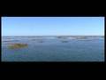 Natura Tour: Entdecken Sie den Ria Formosa Naturpark auf einer 3,5 stündigen Bootsfahrt von Olhão aus.