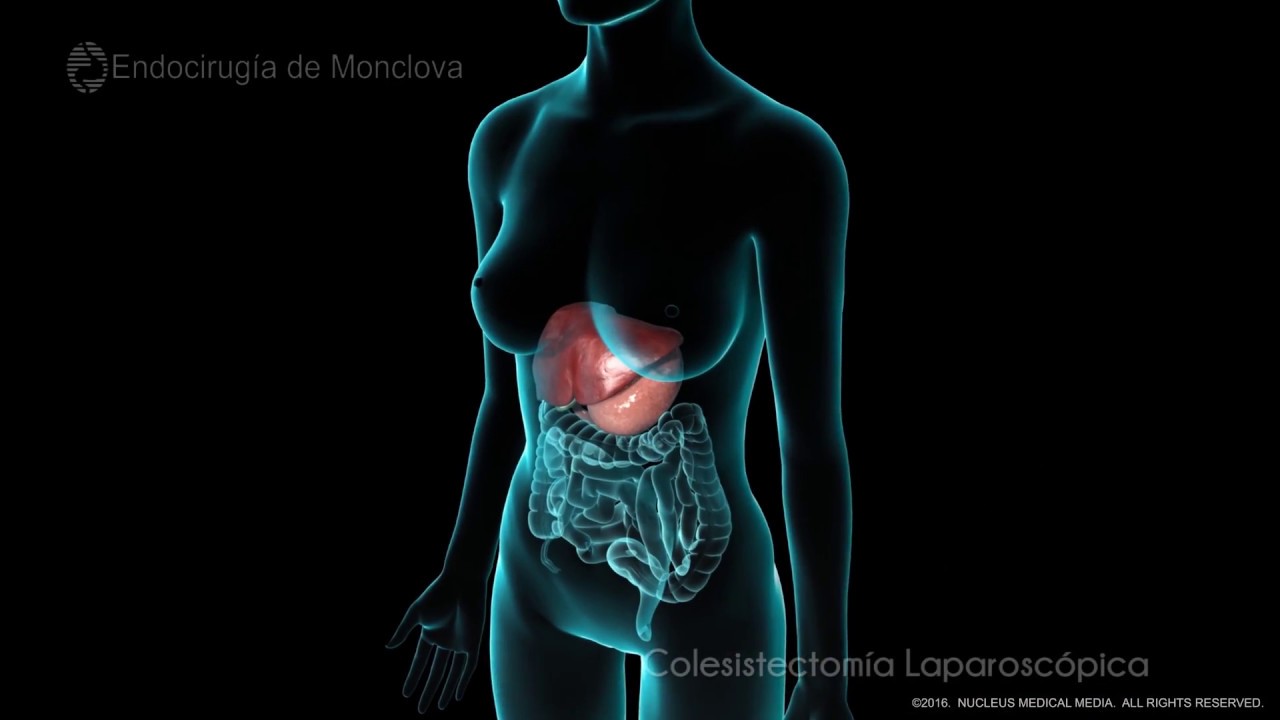 Luis Miguel Garza Huerta-10