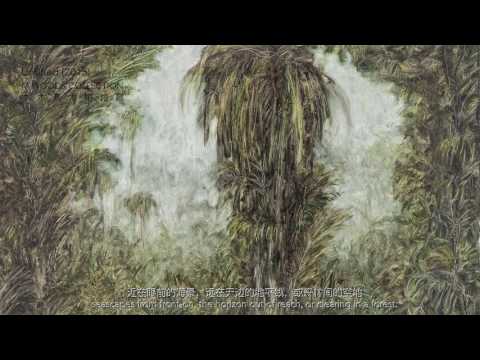 M WOODS COLLECTION(13)Lucas Arruda