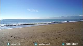 عنده زكاة الفطر وهو في بريطانيا || فتاوى عامة || د. سامي الواكد image