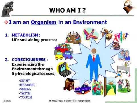 ANATTA: From a Scientific Perspective