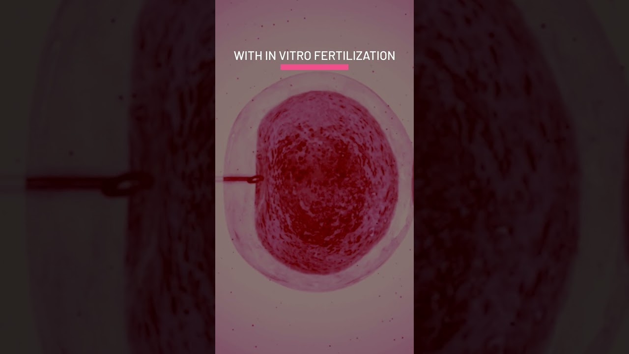 Ana Eugenia Reséndiz Rossetti-7