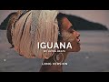 Iguana Ultra Beats Long Version