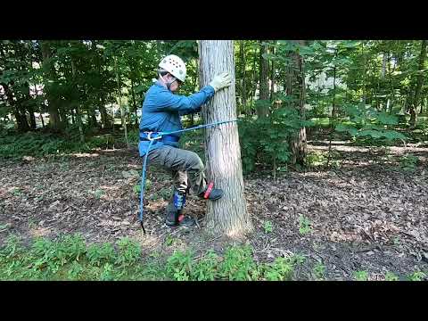 Trsmima Safety Climbing Harness Belt Review, extra safety at low price point