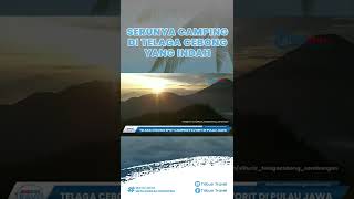 Tempat Wisata di Puncak Tertinggi Jawa, Ada Telaga Cebong yang Kerap Dimanfaatkan untuk Camping
