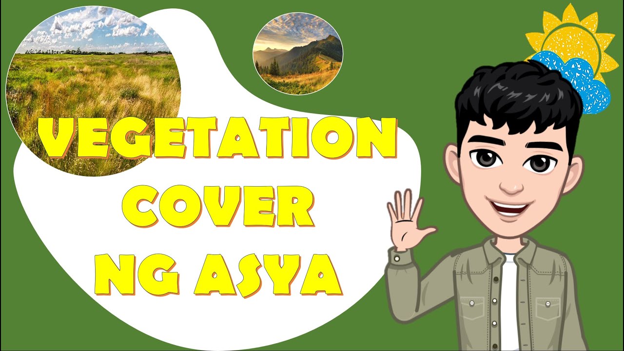 Vegetation Cover ng Asya