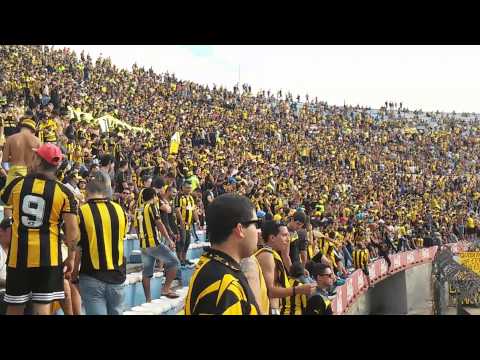 "Recibimiento PEÑAROL vs defensORTO" Barra: Barra Amsterdam &bull; Club: Peñarol