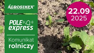 Ochrona rzepaku z wykorzystaniem środków konwencjonalnych i biologicznych | Komunikat Rolniczy