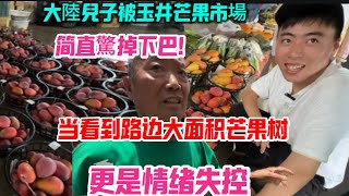 大陸全家被玉井芒果市場品種驚掉下巴!最後看到路邊大面積芒果樹,更是情緒失控,拉都拉不住!