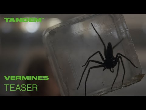 Vermines - teaser Tandem