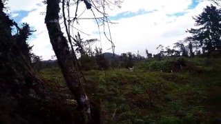 Airsoft Bogota -Operacion El Paramo I-