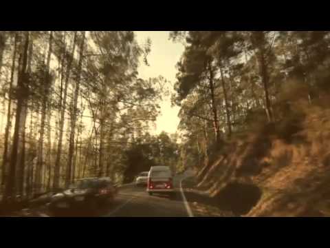 Runaway - Los Pericos