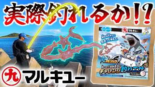 釣り系メダルゲームが餌を開発したので実際に使ってみた！！【リアル釣り】