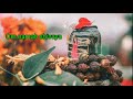 Om Namah Shivaya Lord Shiva WhatsApp Status Mahadeva