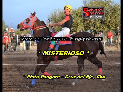 Misterioso, Pangare (16-07-17)