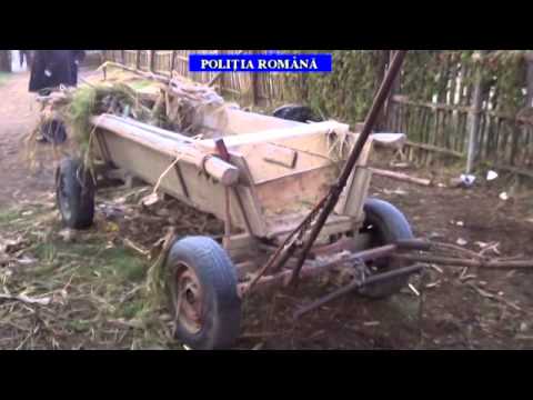 perchezitii Dumbravesti PH 29 10 2015