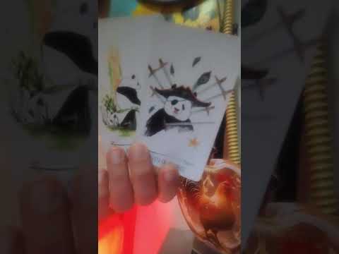 ❤️VAGA🌲❤️Neko vas vidi kao da možete da zalečite rane🌲❤️