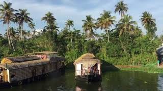 preview picture of video 'Kerala tourism | Alleppey backwaters | Kerala | Boat cruise | munnar'