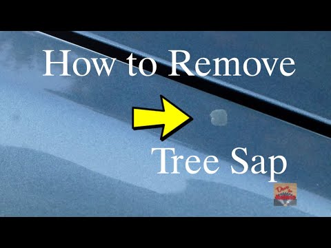 How to Remove Tree Sap From Car