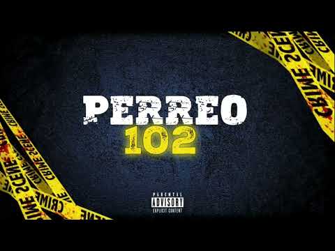 PERREO 102 - ALEXIIS DJ