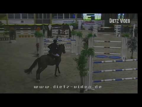 QUIWI DREAM Hans-Dieter Dreher