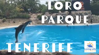 Amazing Orca and Dolphin Show at Loro Parque | Exploring Puerto de la Cruz, Tenerife