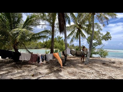 Unicorn Fish and Scenic Laundry WHS E83