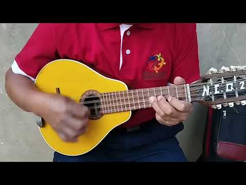 Tutorial Jehová es mi pastor (mandolina)