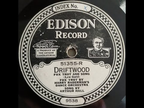 Harry Raderman's Dance Orchestra  " Driftwood  "  1924