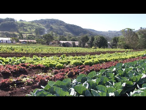 AGROFAG: EMPREENDEDORISMO RURAL É FONTE DE RENDA