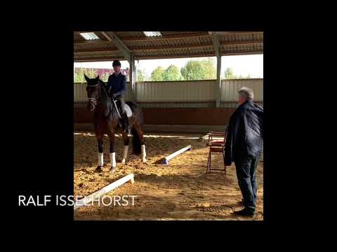 www.dressurtrainer-isselhorst.de - Korrekte halbe Paraden