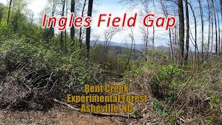 Ingles Field Gap Mountain Bike Trail, Bent Creek, North Carolina
