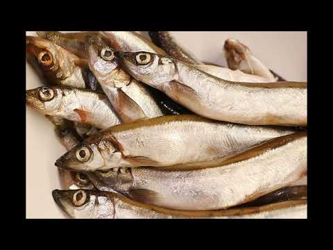 MasterChef Celebrity conflicto