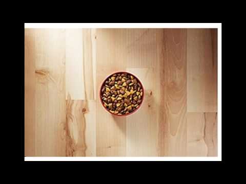 Turkey and Venison Formula Healthy Dry Dog Food