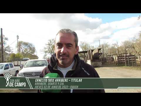 Ernesto Tato Arriebere - Remate de Arribere, Ugarte y Cía. -  Jueves 2 de junio de 2022 - Rauch
