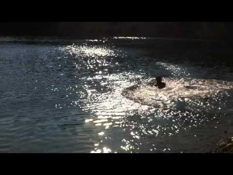 bugojno   jezero radovan   skok na glavu