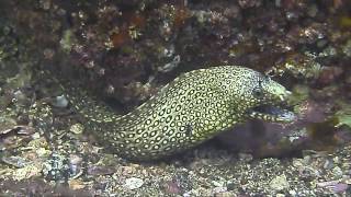 Aquatic Sports and Adventures at Club De Yates, Manzanillo Mexico