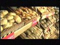 Polsat Reklamy Zapowiedzi Z Marca 2007r