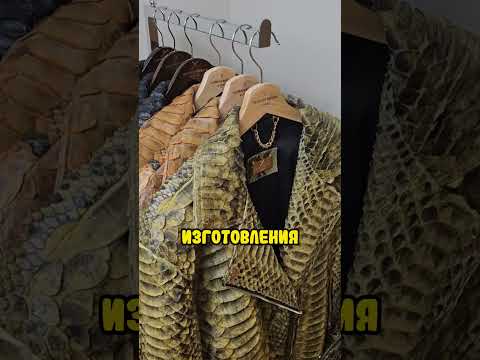 Не трогай змею, если она делает ТАК 😱🐍